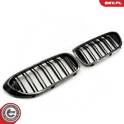 Radiator Grille ESEN SKV - 66SKV197