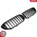 Radiator Grille ESEN SKV - 66SKV198