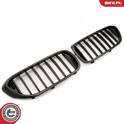 Radiator Grille ESEN SKV - 66SKV199