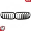 Radiator Grille ESEN SKV - 66SKV204