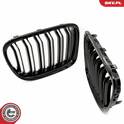 Radiator Grille ESEN SKV - 66SKV233
