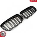Radiator Grille ESEN SKV - 66SKV252