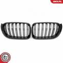 Radiator Grille ESEN SKV - 66SKV259