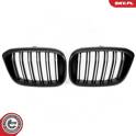 Radiator Grille ESEN SKV - 66SKV262