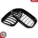Radiator Grille ESEN SKV - 66SKV270