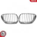 Radiator Grille ESEN SKV - 66SKV272