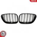 Radiator Grille ESEN SKV - 66SKV275