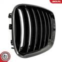 Radiator Grille ESEN SKV - 66SKV276