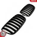 Radiator Grille ESEN SKV - 66SKV282