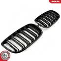 Radiator Grille ESEN SKV - 66SKV287