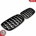 Radiator Grille ESEN SKV - 66SKV292