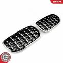 Radiator Grille ESEN SKV - 66SKV293