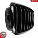 Radiator Grille ESEN SKV - 66SKV294