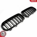 Radiator Grille ESEN SKV - 66SKV296