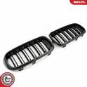 Radiator Grille ESEN SKV - 66SKV299