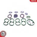 Repair Kit, intake manifold module ESEN SKV - 49SKV512