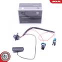 Switch, tailgate ESEN SKV - 16SKV275