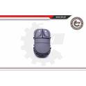 Switch, window regulator ESEN SKV - 37SKV027