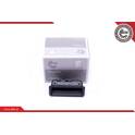 Tailgate Handle ESEN SKV - 16SKV212