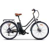 Vélo électrique gris NEW YORK EVOBIKE - NEWYORK-G