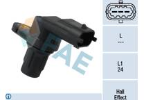 Nokkenassensor