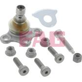 Ball Joint FAG - 825 0224 10