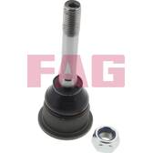 Rotule de suspension FAG - 825 0046 10