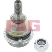 Rotule de suspension FAG - 825 0256 10