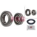 Wheel Bearing Kit FAG - 713 6445 20