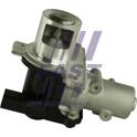 AGR-Ventil FAST - FT60214
