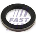 Anello tenuta, Differenziale FAST - FT49910