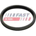 Anello tenuta, Flessibile aria alimentazione FAST - FT48947