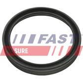 Anello tenuta, Flessibile aria alimentazione FAST - FT48956