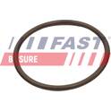 Bague d'étanchéité (gaine de suralimentation) FAST - FT49933