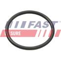 Bague d'étanchéité (gaine de suralimentation) FAST - FT49935