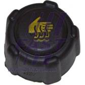 Bouchon de vase d'expansion (liquide de refroidissement) FAST - FT94707