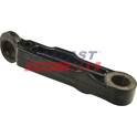 Braço oscilante, suspensão da roda FAST - FT15069