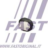 Clip (enjoliveur) FAST - FT96300