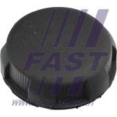 Control, seat back adjustment FAST - FT93601