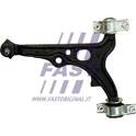 Control/Trailing Arm, wheel suspension FAST - FT15012