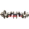 Crankshaft FAST - FT51701