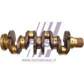 Crankshaft FAST - FT51720