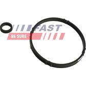 Dichtung, Ölkühler FAST - FT48952
