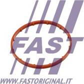 Dichtung, Unterdruckpumpe FAST - FT50701