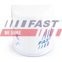 Filtro olio FAST - FT38027