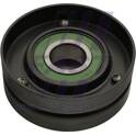 Galet tendeur (courroie d'accessoire) FAST - FT44693