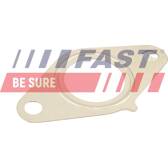 Gasket, EGR valve FAST - FT50616