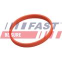 Gasket, EGR valve FAST - FT50628