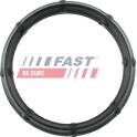 Gasket, intake manifold FAST - FT49424