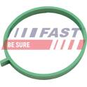 Gasket, intake manifold (x10) FAST - FT49472